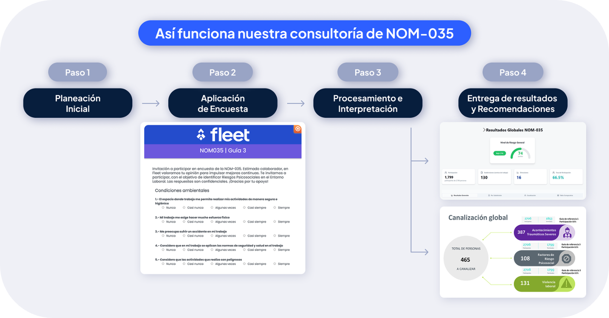 Consultoría Fleet NOM-035